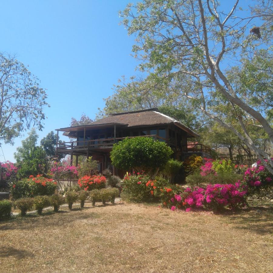 Heaven On The Planet Ekas Exterior photo
